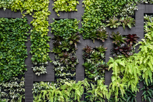 Living Walls